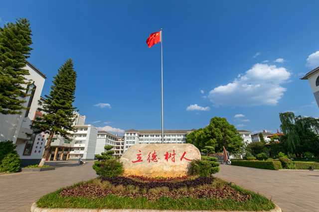 图片4