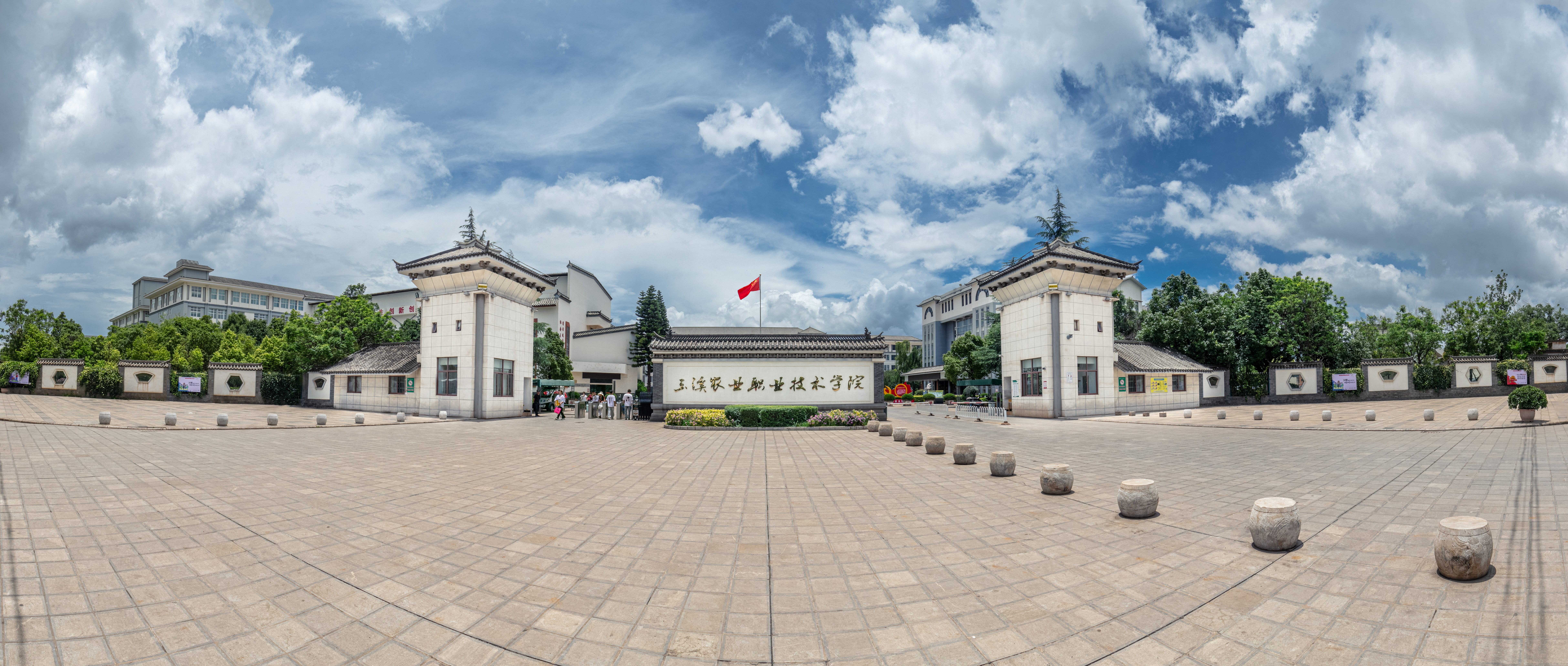 图片5